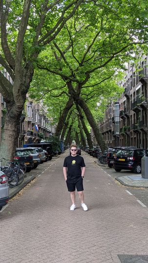 The famous trees on Lomanstraat